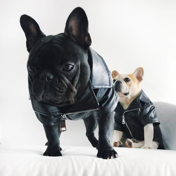[Зимни дрехи за кучета MPK] Страхотно яке за кучета, вътре в мека фланелевая плат, отвън полиуретанова кожа